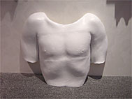 Torso