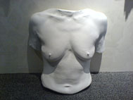 Torso